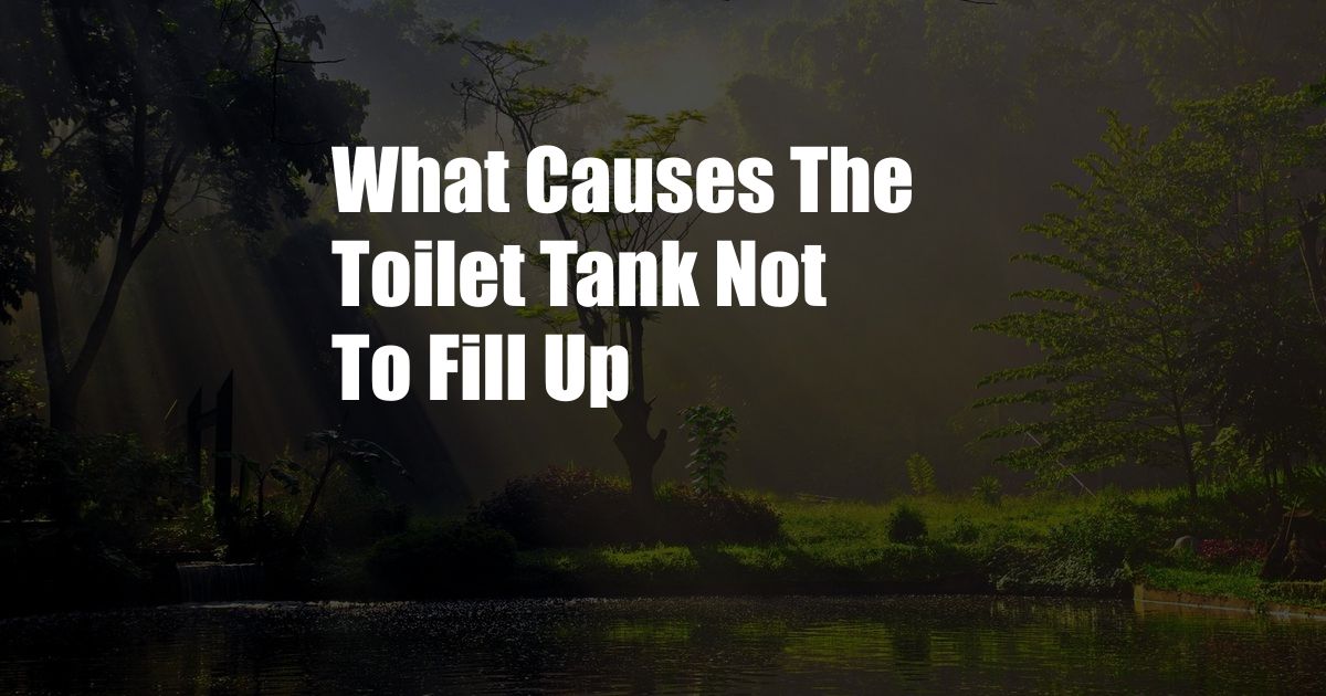 What Causes The Toilet Tank Not To Fill Up