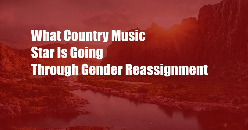 What Country Music Star Is Going Through Gender Reassignment