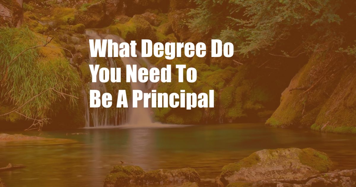 What Degree Do You Need To Be A Principal