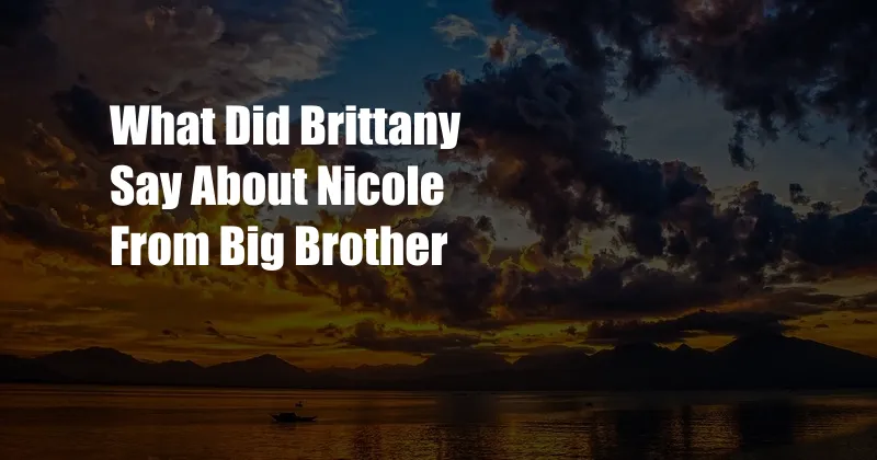 What Did Brittany Say About Nicole From Big Brother