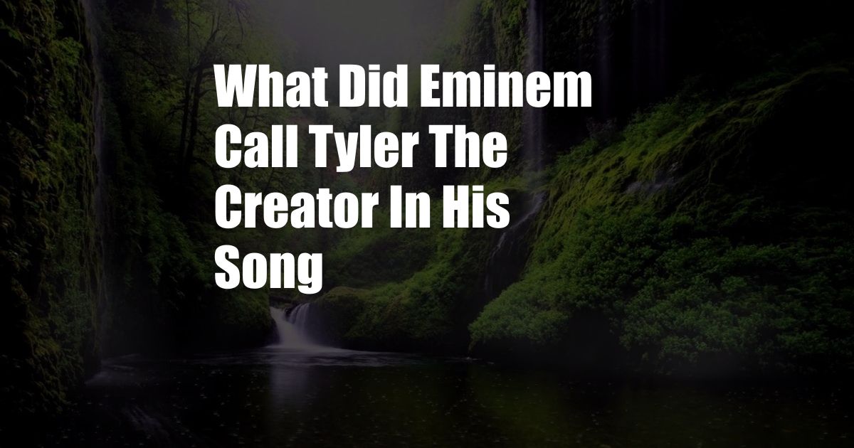 What Did Eminem Call Tyler The Creator In His Song