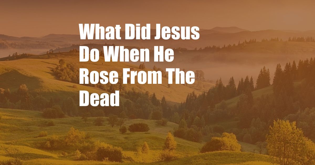 What Did Jesus Do When He Rose From The Dead