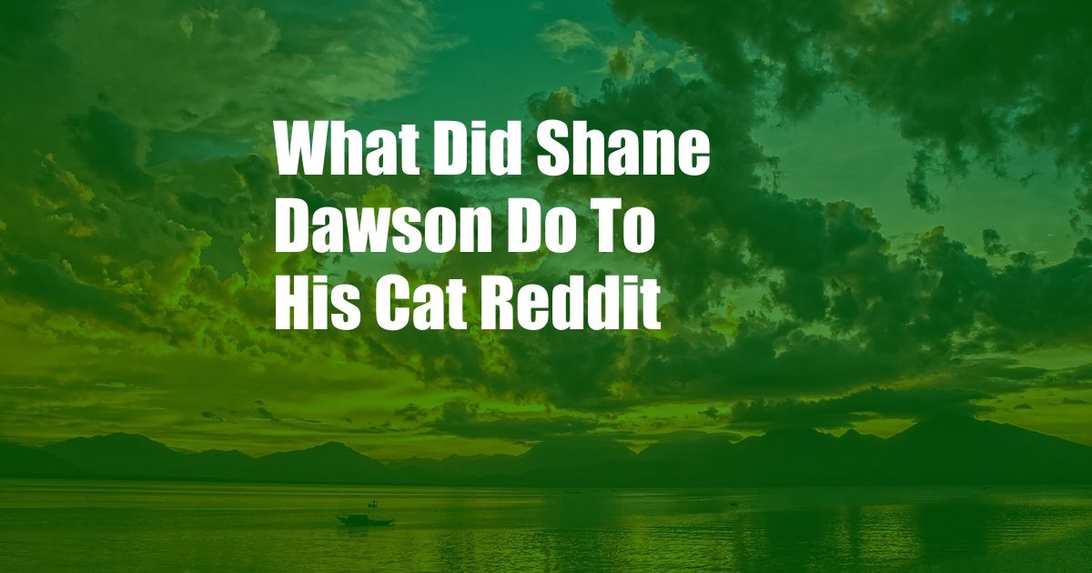 What Did Shane Dawson Do To His Cat Reddit