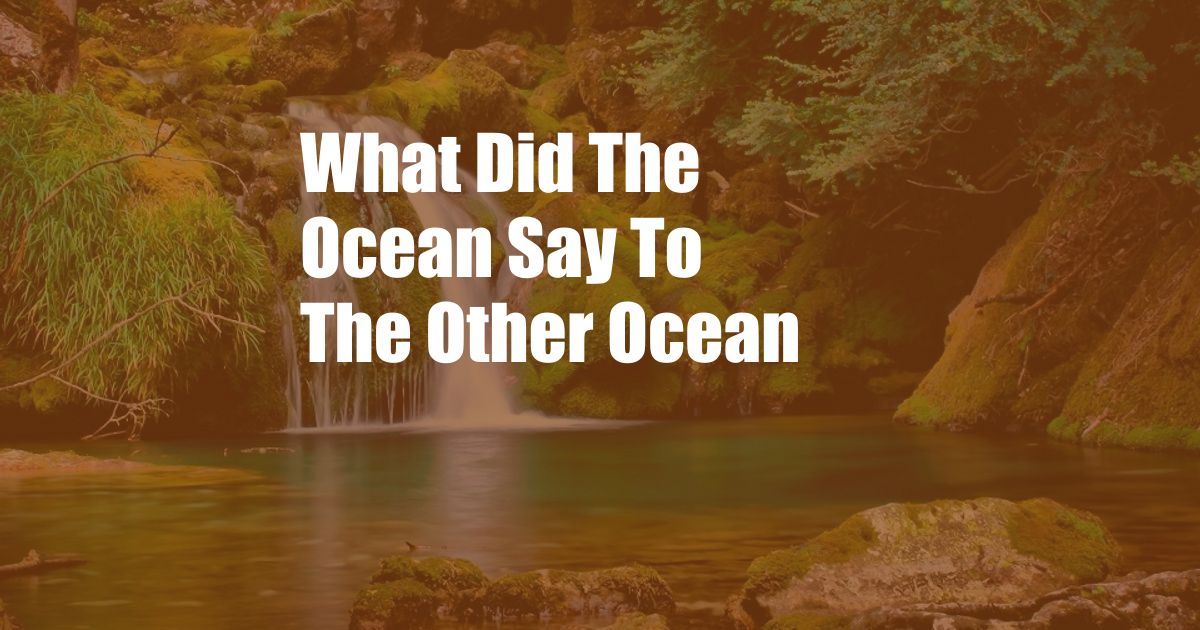 What Did The Ocean Say To The Other Ocean