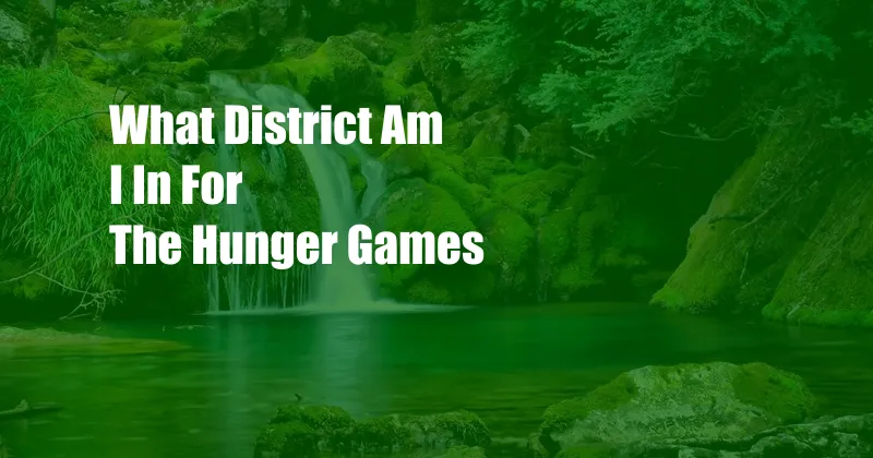 What District Am I In For The Hunger Games