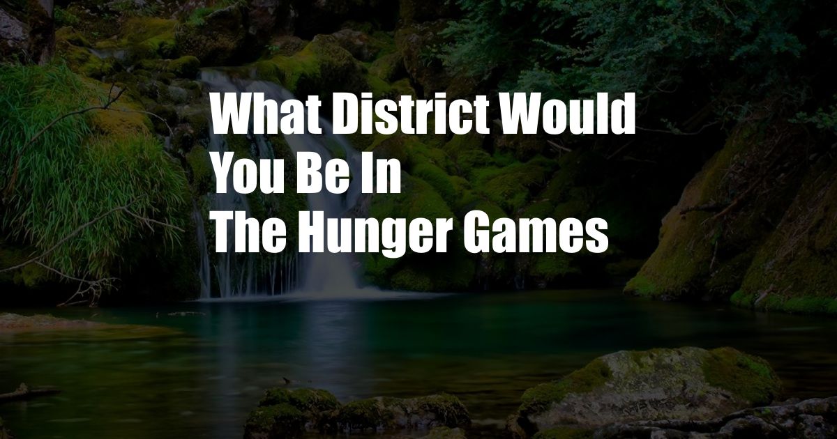 What District Would You Be In The Hunger Games