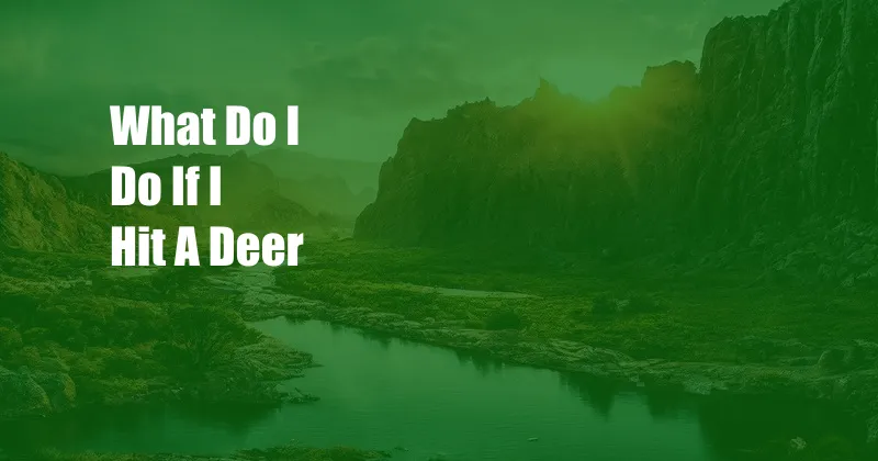 What Do I Do If I Hit A Deer