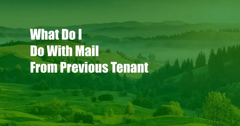 What Do I Do With Mail From Previous Tenant