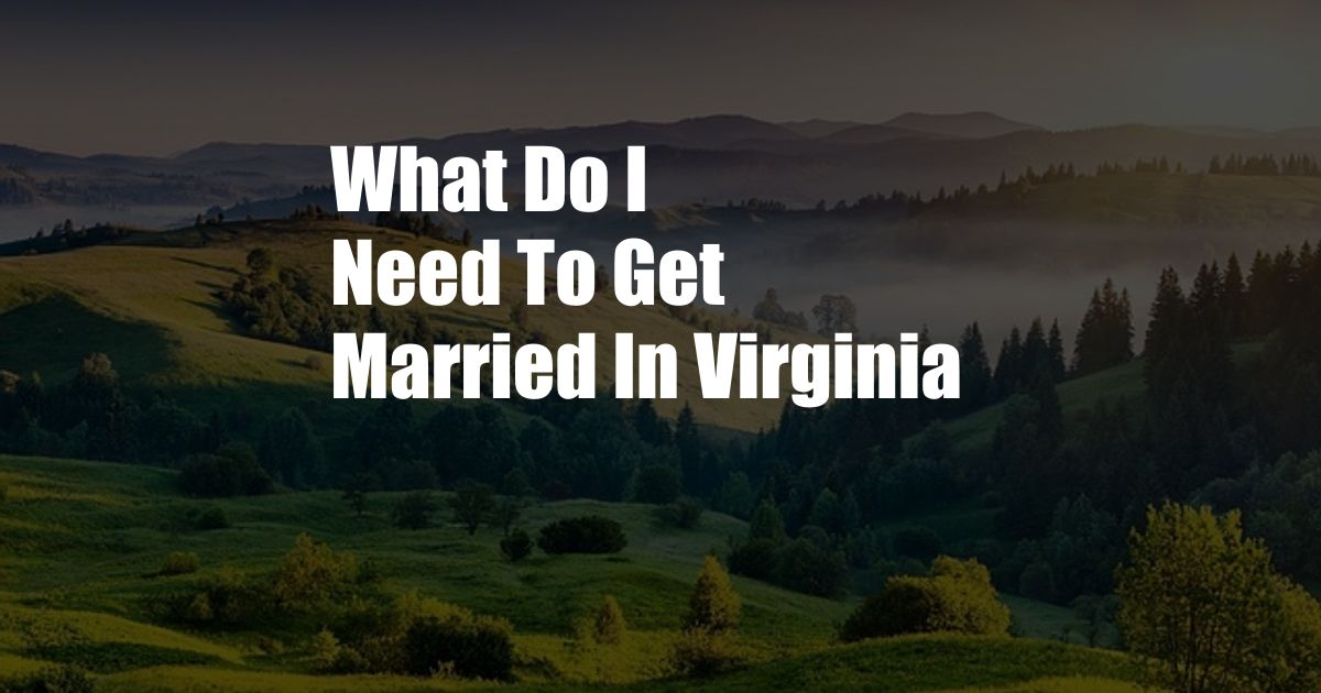 What Do I Need To Get Married In Virginia