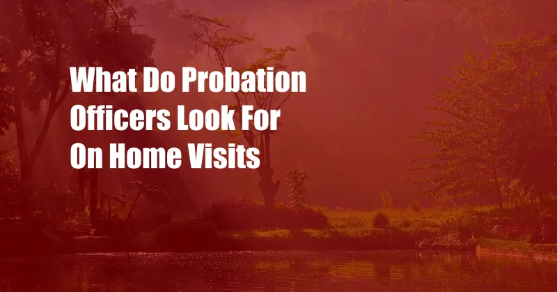 What Do Probation Officers Look For On Home Visits