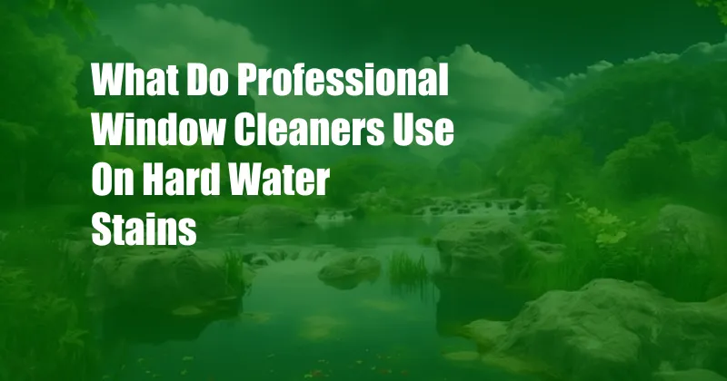 What Do Professional Window Cleaners Use On Hard Water Stains