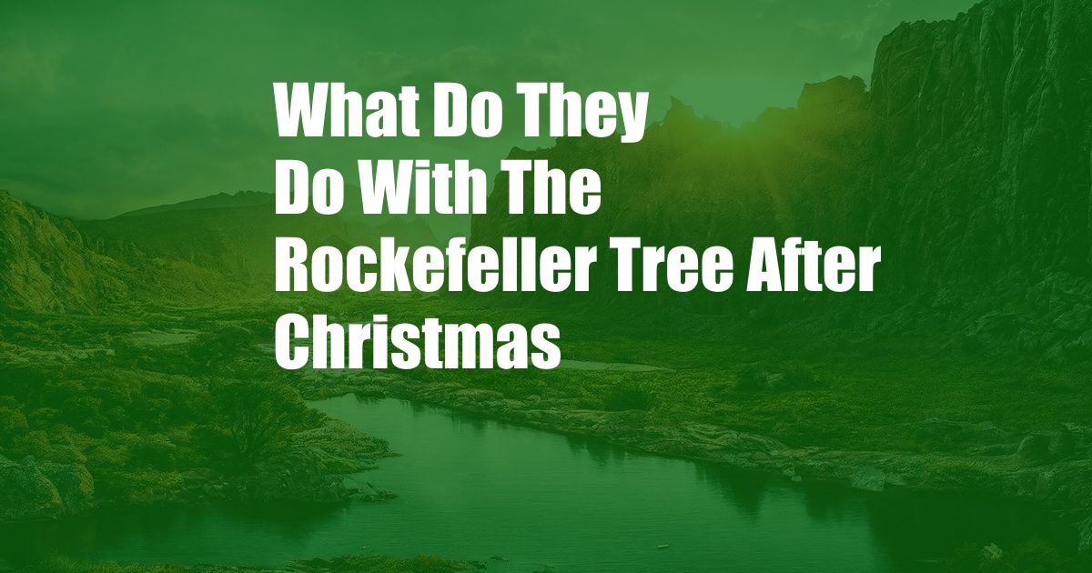 What Do They Do With The Rockefeller Tree After Christmas