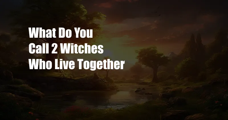 What Do You Call 2 Witches Who Live Together