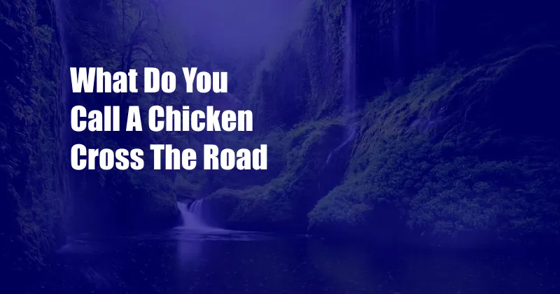What Do You Call A Chicken Cross The Road
