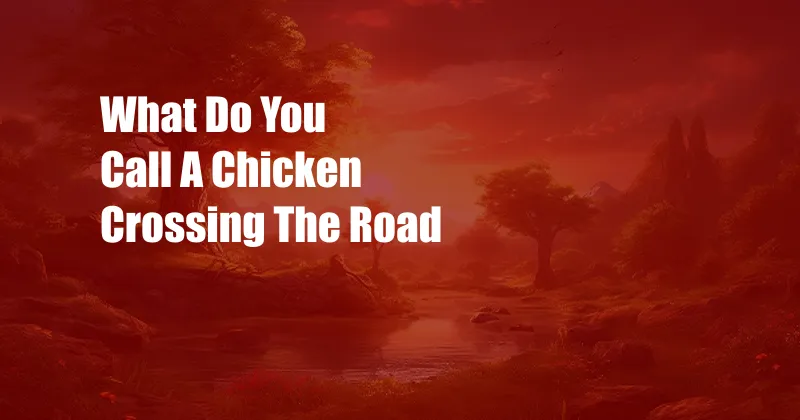What Do You Call A Chicken Crossing The Road