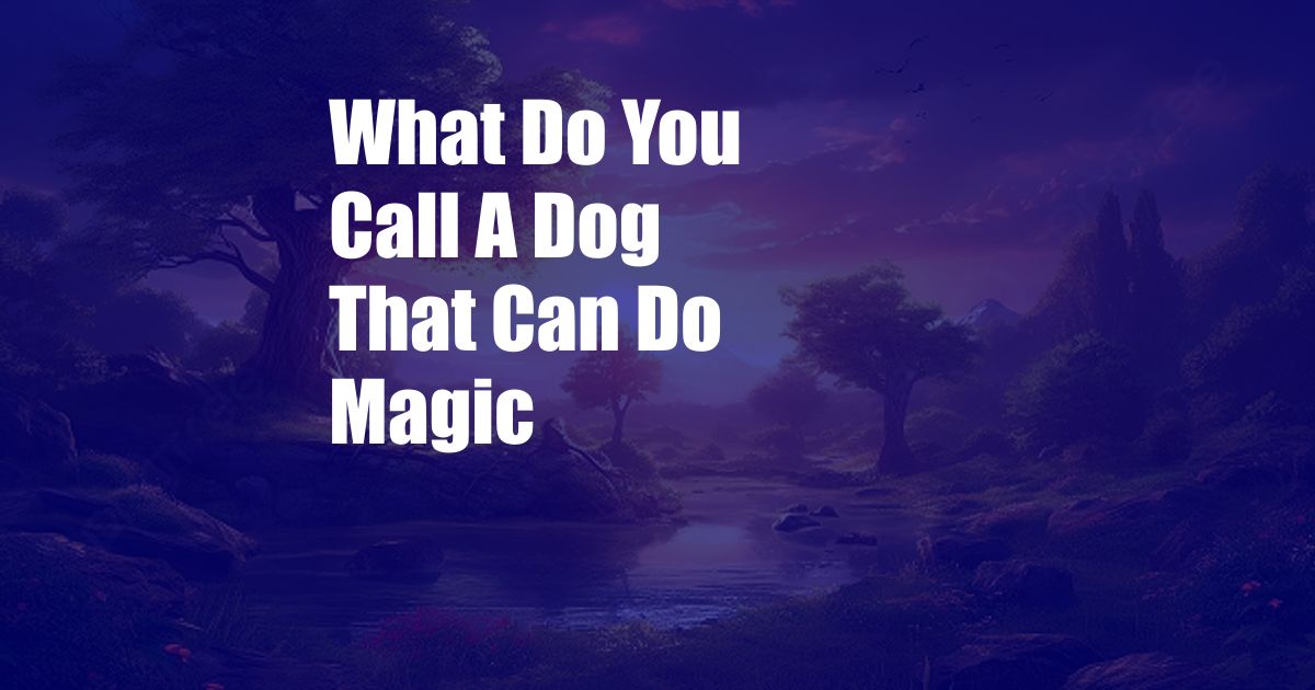 What Do You Call A Dog That Can Do Magic