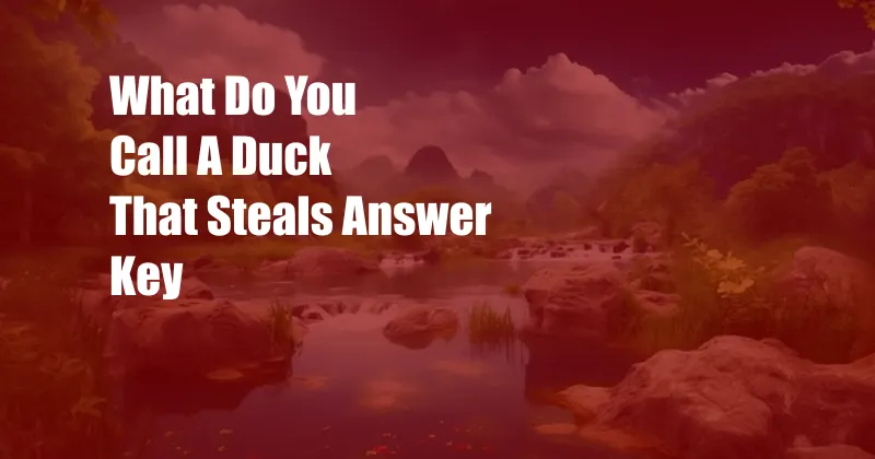 What Do You Call A Duck That Steals Answer Key
