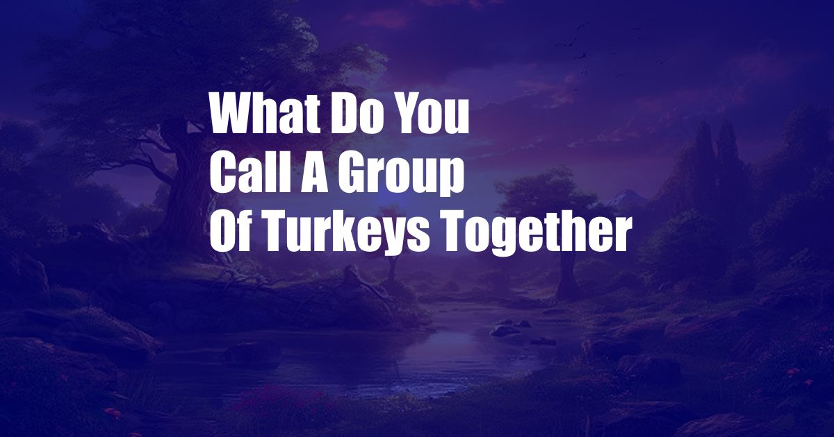 What Do You Call A Group Of Turkeys Together