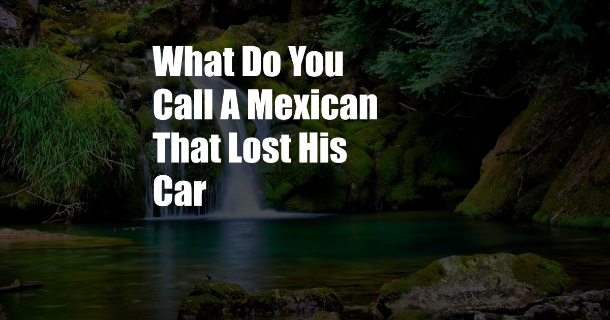 What Do You Call A Mexican That Lost His Car