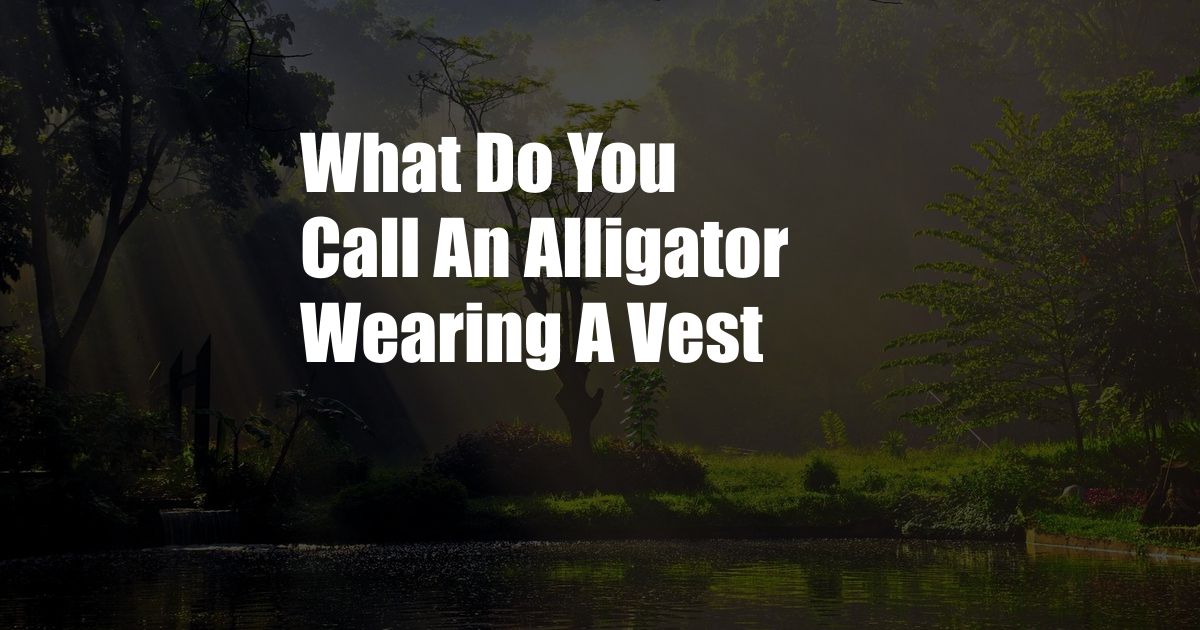 What Do You Call An Alligator Wearing A Vest