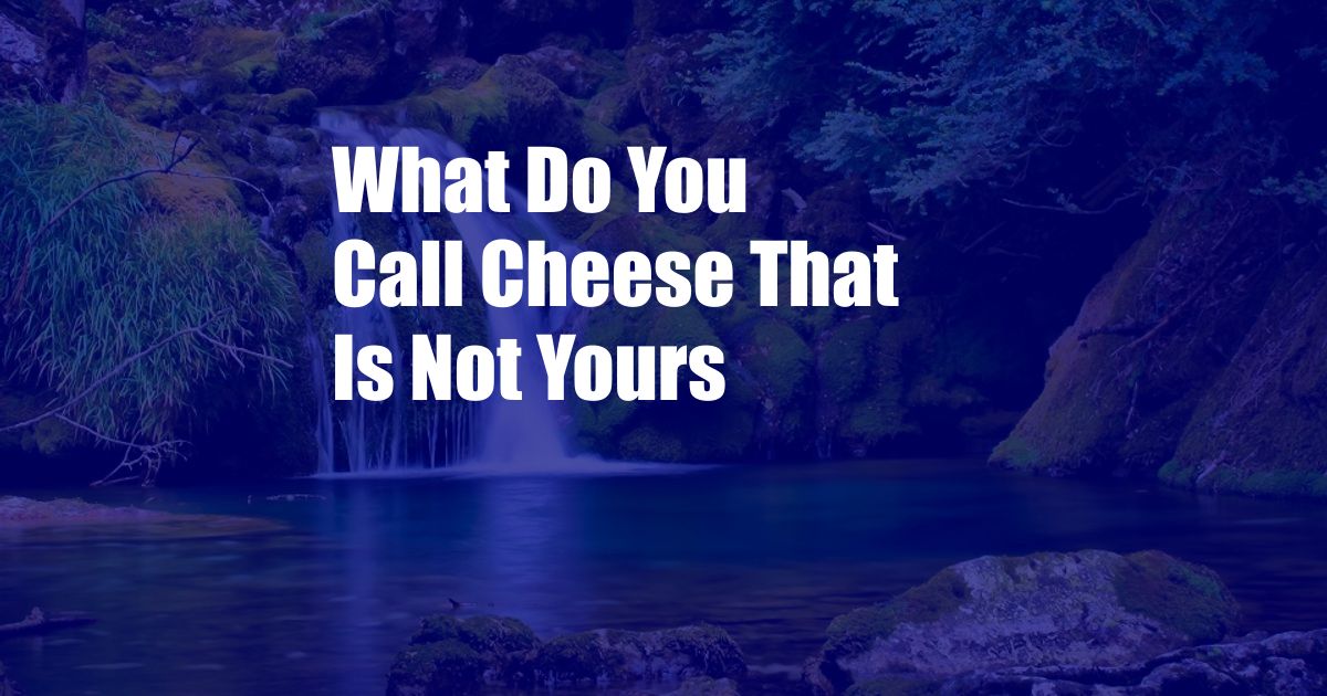 What Do You Call Cheese That Is Not Yours