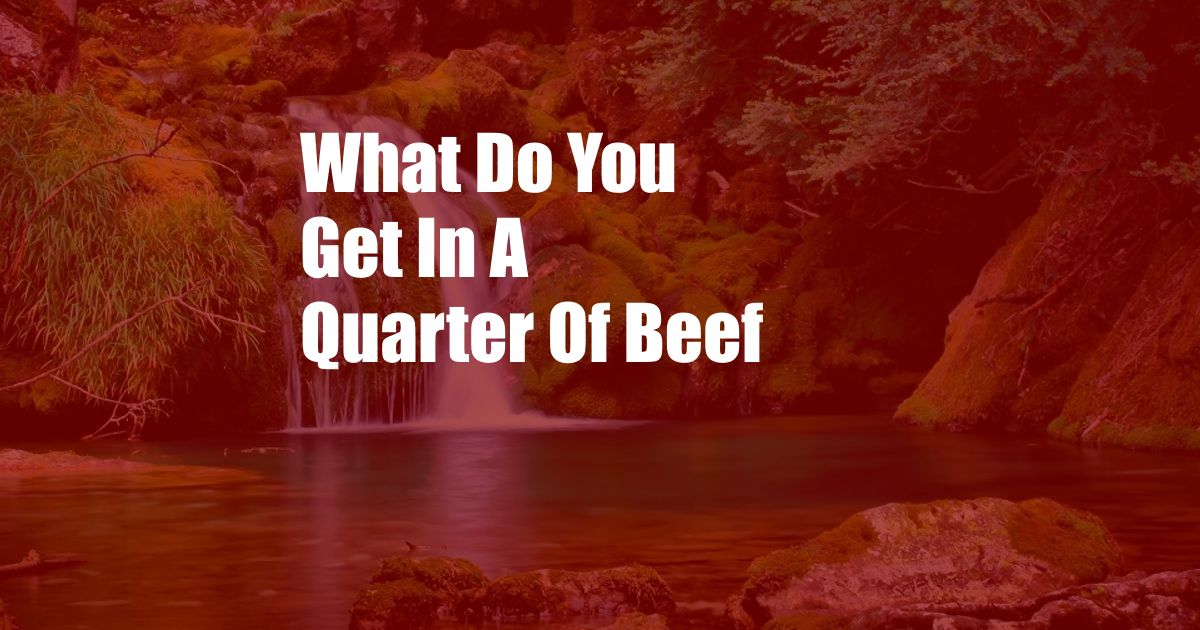 What Do You Get In A Quarter Of Beef