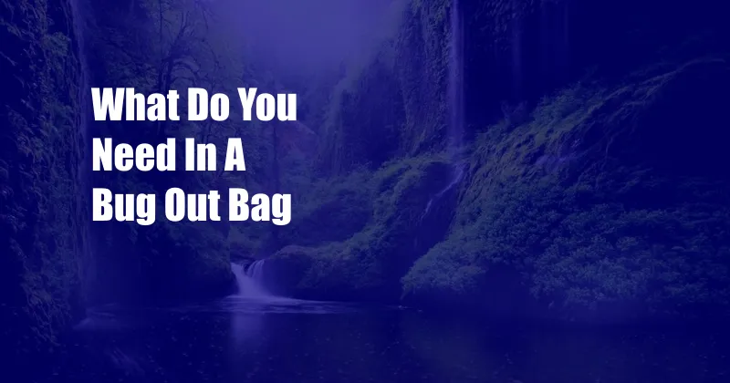 What Do You Need In A Bug Out Bag