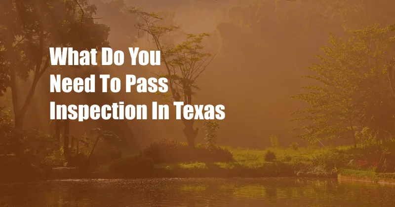 What Do You Need To Pass Inspection In Texas