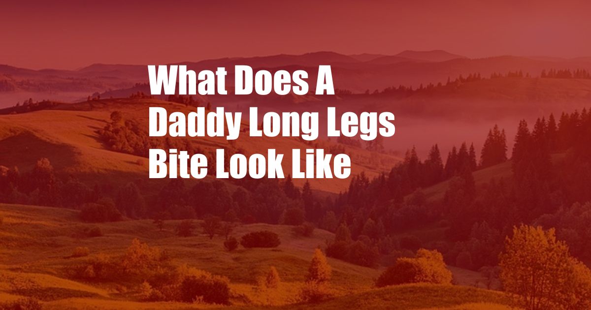 What Does A Daddy Long Legs Bite Look Like