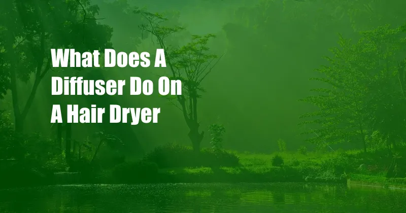 What Does A Diffuser Do On A Hair Dryer