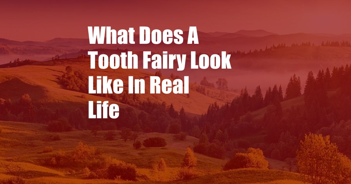 What Does A Tooth Fairy Look Like In Real Life