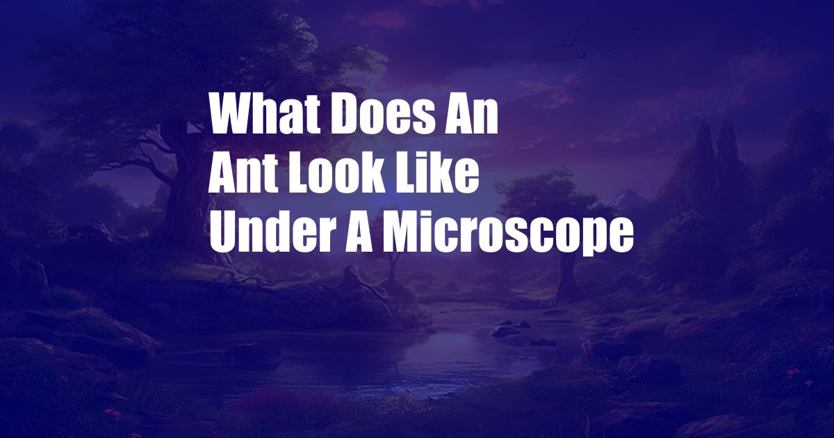 What Does An Ant Look Like Under A Microscope