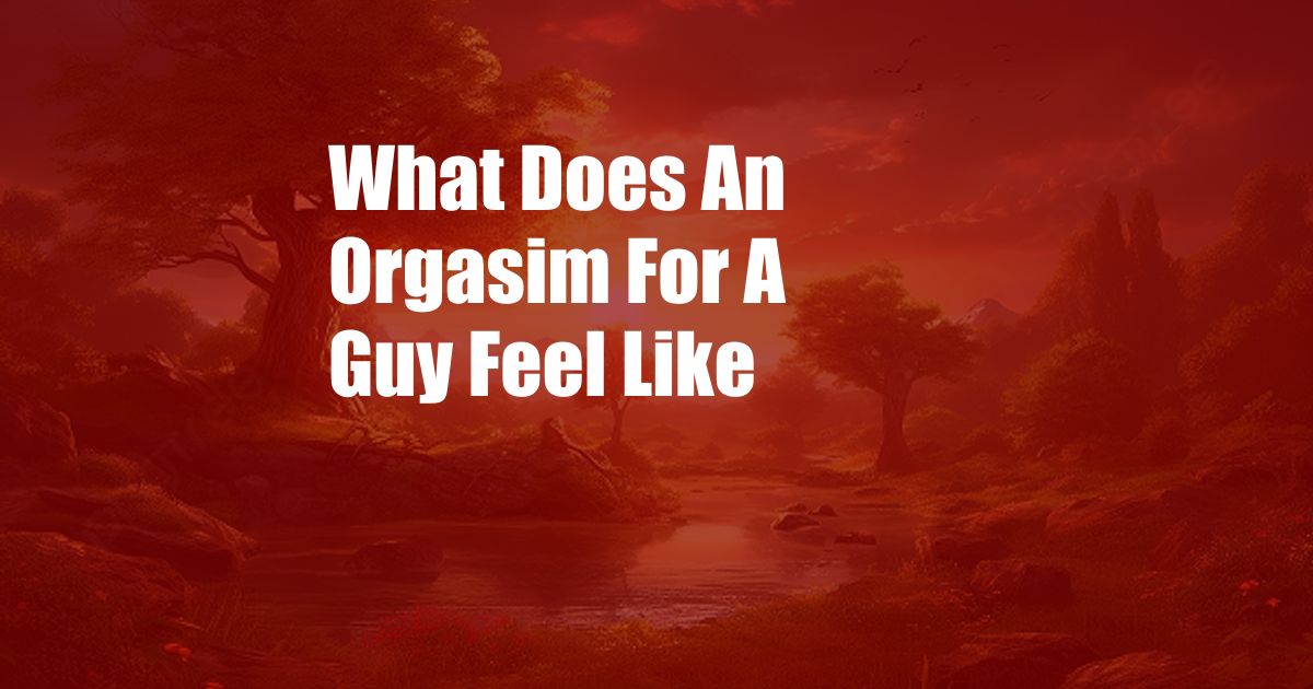 What Does An Orgasim For A Guy Feel Like