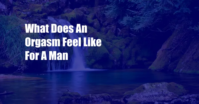 What Does An Orgasm Feel Like For A Man