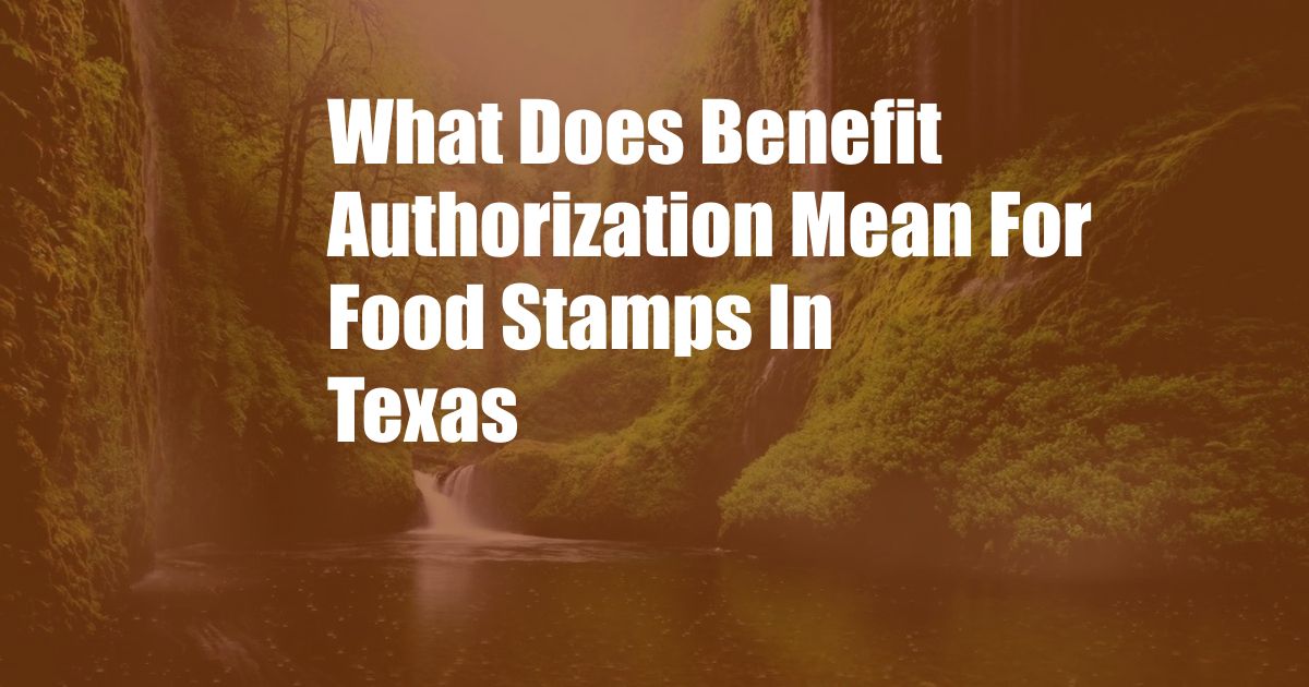 What Does Benefit Authorization Mean For Food Stamps In Texas