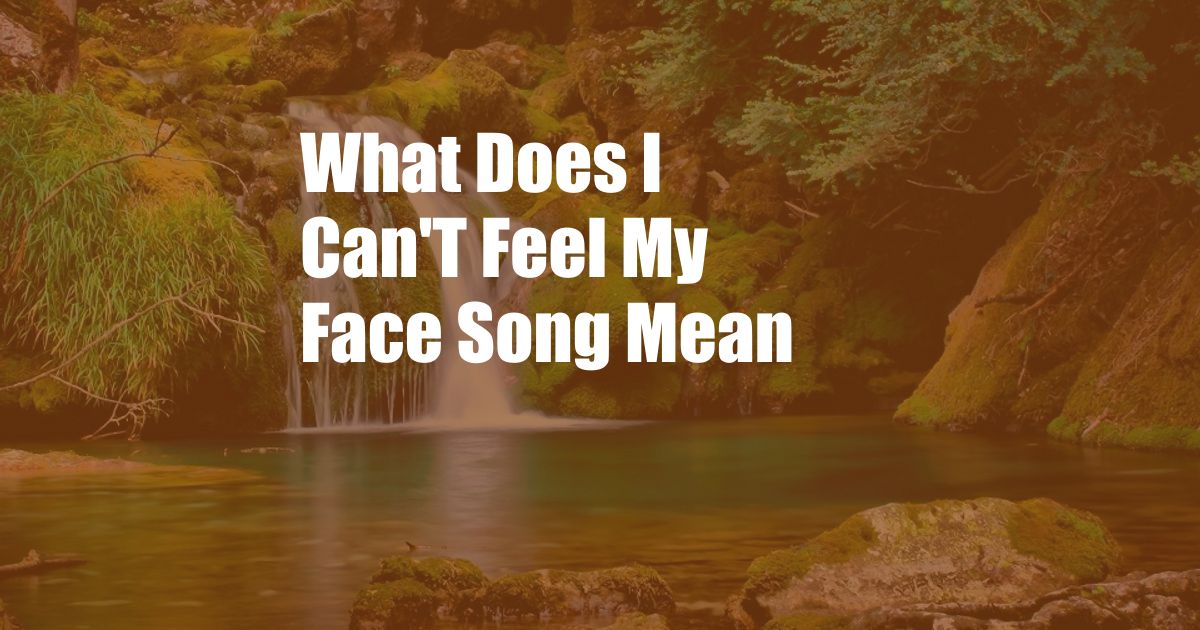 What Does I Can'T Feel My Face Song Mean