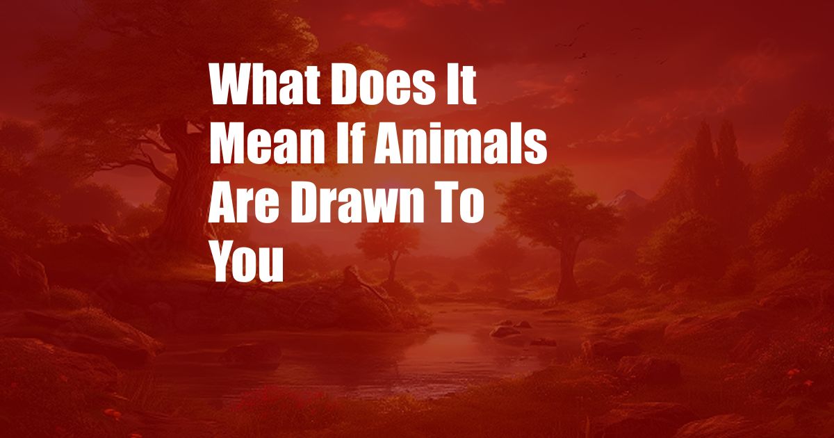 What Does It Mean If Animals Are Drawn To You