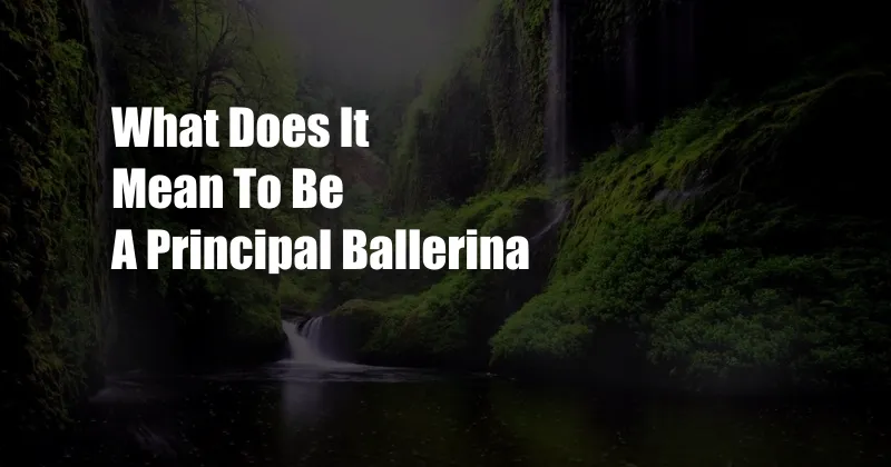 What Does It Mean To Be A Principal Ballerina