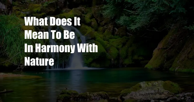 What Does It Mean To Be In Harmony With Nature