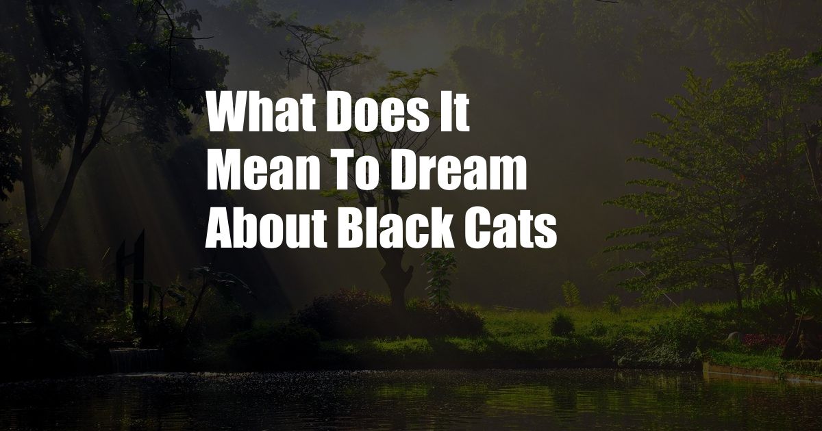 What Does It Mean To Dream About Black Cats