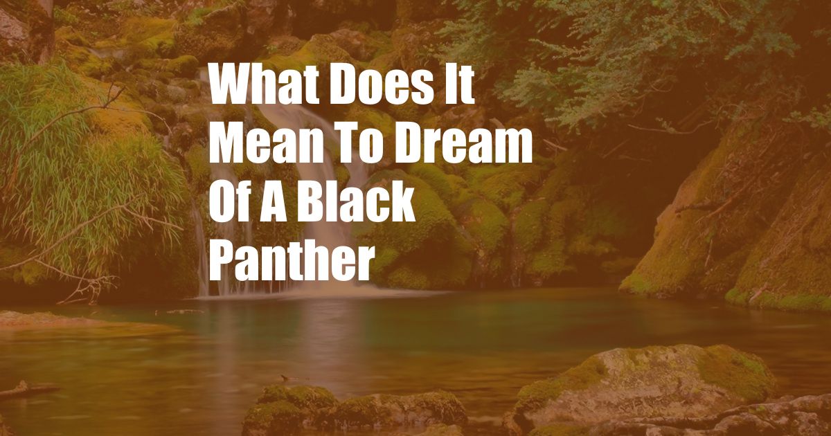 What Does It Mean To Dream Of A Black Panther