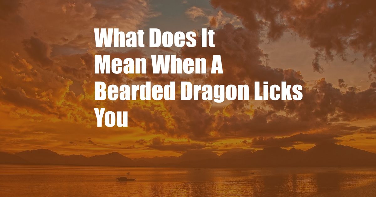 What Does It Mean When A Bearded Dragon Licks You