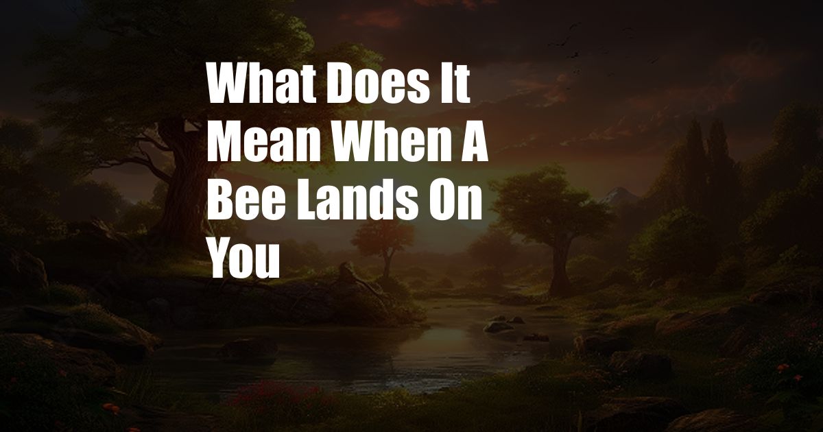 What Does It Mean When A Bee Lands On You