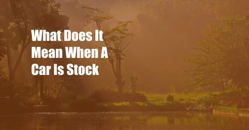 What Does It Mean When A Car Is Stock