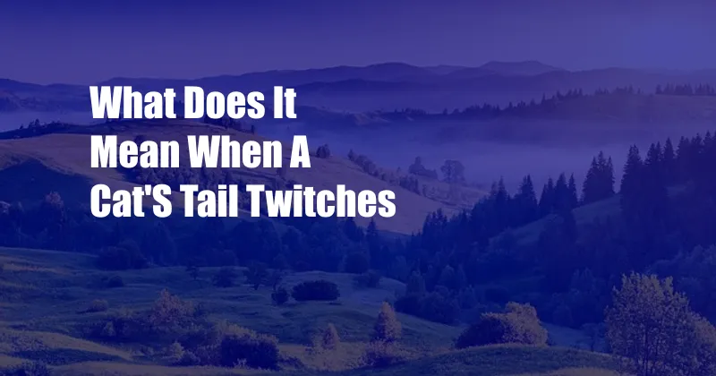 What Does It Mean When A Cat'S Tail Twitches