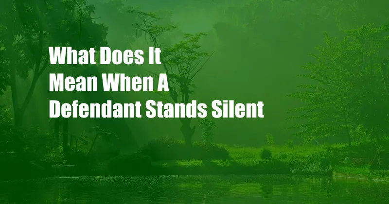 What Does It Mean When A Defendant Stands Silent