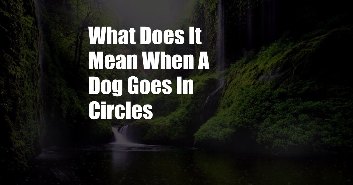 What Does It Mean When A Dog Goes In Circles