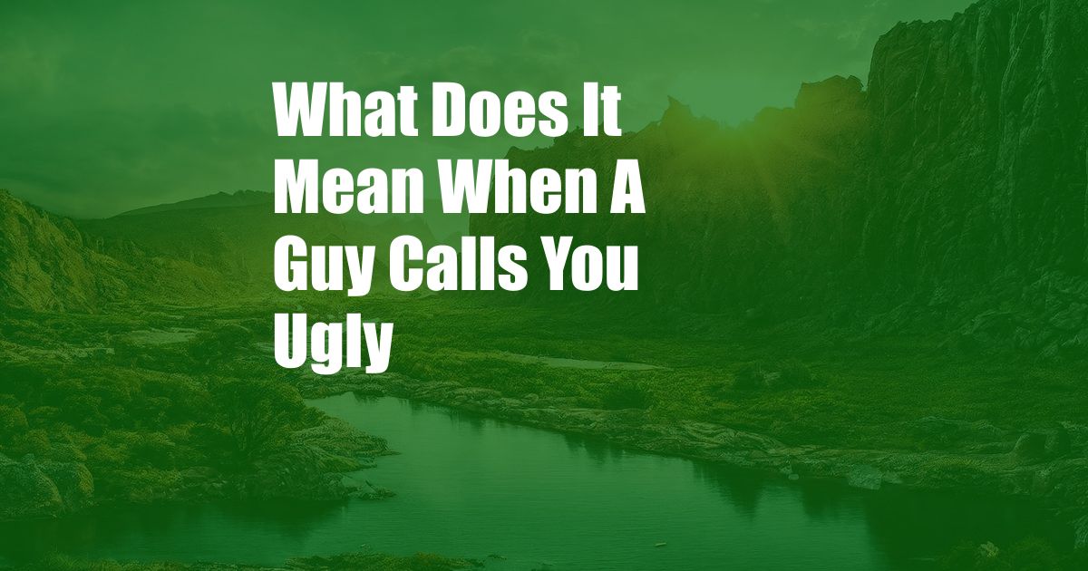 What Does It Mean When A Guy Calls You Ugly
