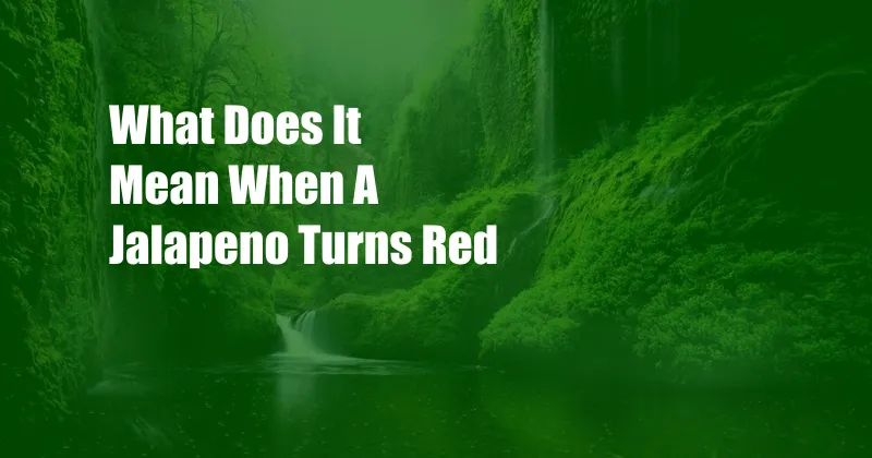 What Does It Mean When A Jalapeno Turns Red