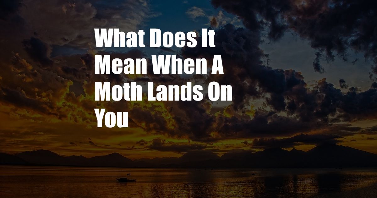 What Does It Mean When A Moth Lands On You